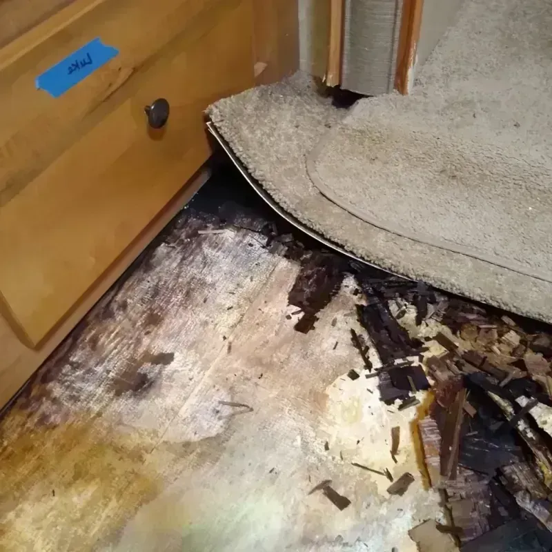 Best Wood Floor Water Damage Service in West Monroe, LA